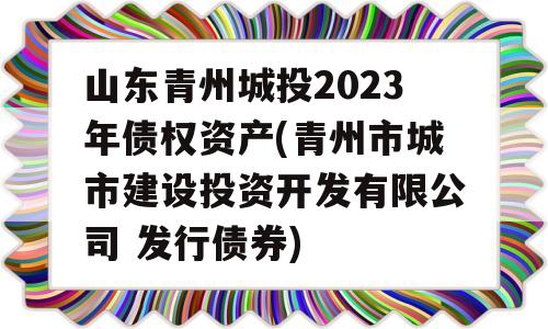 山东青州城投2023年债权资产(青州市城市建设投资开发有限公司 发行债券)