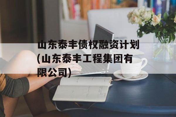 山东泰丰债权融资计划(山东泰丰工程集团有限公司)