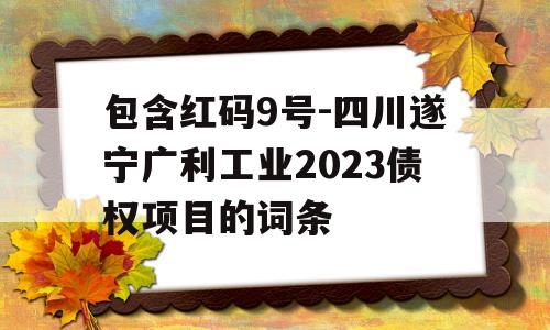 包含红码9号-四川遂宁广利工业2023债权项目的词条