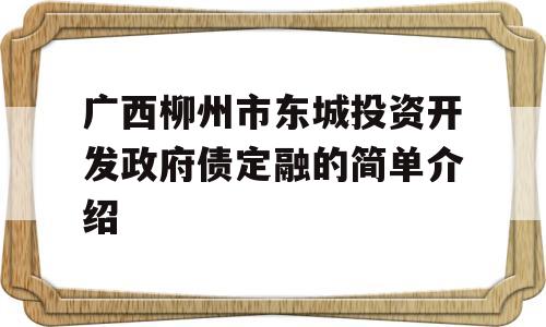 广西柳州市东城投资开发政府债定融的简单介绍