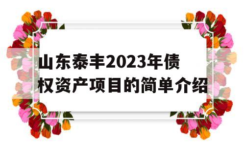 山东泰丰2023年债权资产项目的简单介绍