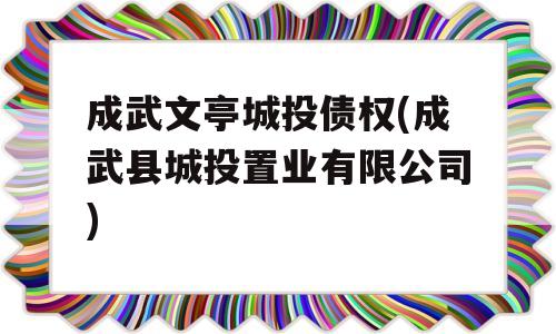 成武文亭城投债权(成武县城投置业有限公司)