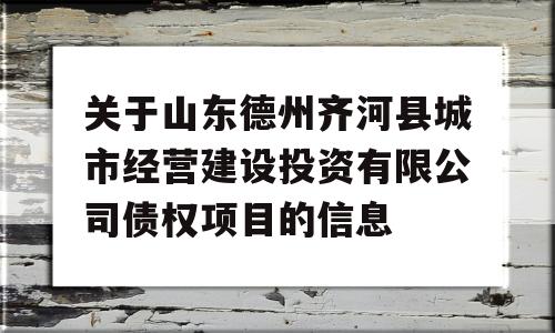 关于山东德州齐河县城市经营建设投资有限公司债权项目的信息