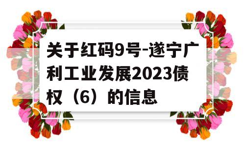 关于红码9号-遂宁广利工业发展2023债权（6）的信息