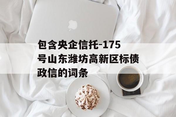 包含央企信托-175号山东潍坊高新区标债政信的词条