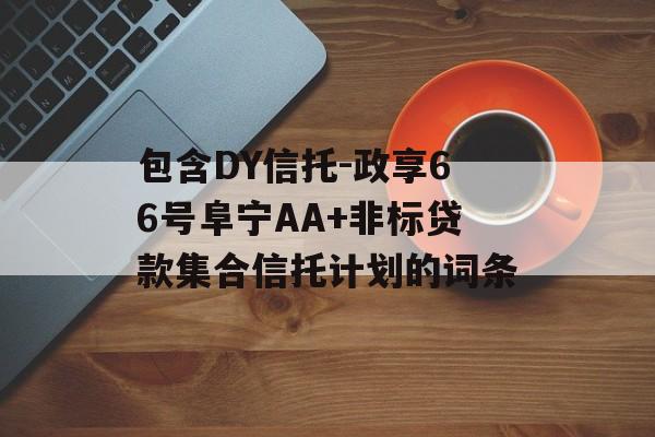 包含DY信托-政享66号阜宁AA+非标贷款集合信托计划的词条