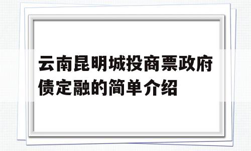 云南昆明城投商票政府债定融的简单介绍