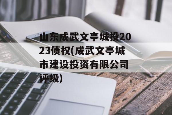 山东成武文亭城投2023债权(成武文亭城市建设投资有限公司 评级)