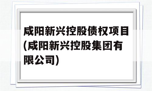 咸阳新兴控股债权项目(咸阳新兴控股集团有限公司)