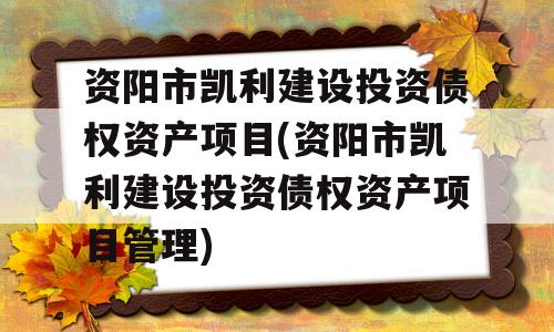 资阳市凯利建设投资债权资产项目(资阳市凯利建设投资债权资产项目管理)