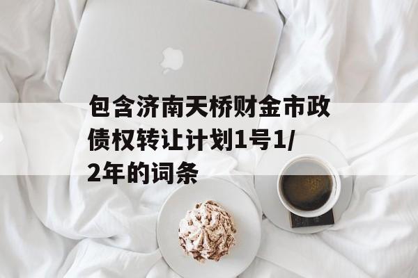 包含济南天桥财金市政债权转让计划1号1/2年的词条