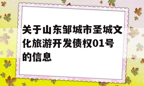 关于山东邹城市圣城文化旅游开发债权01号的信息