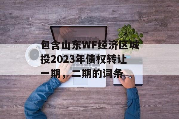 包含山东WF经济区城投2023年债权转让一期，二期的词条