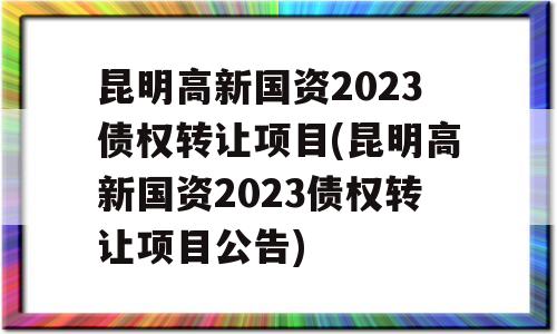 昆明高新国资2023债权转让项目(昆明高新国资2023债权转让项目公告)