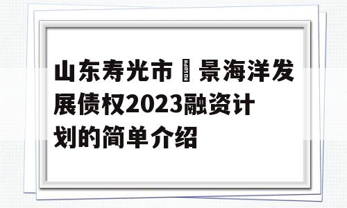 山东寿光市昇景海洋发展债权2023融资计划的简单介绍