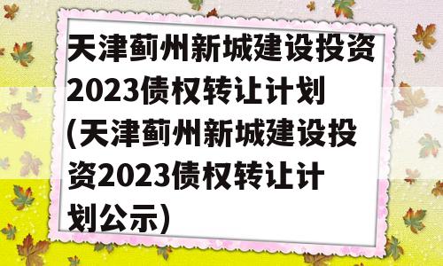 天津蓟州新城建设投资2023债权转让计划(天津蓟州新城建设投资2023债权转让计划公示)