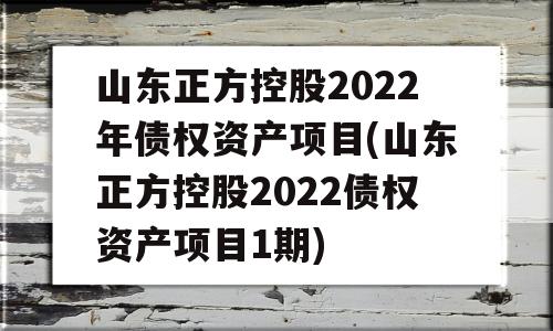 山东正方控股2022年债权资产项目(山东正方控股2022债权资产项目1期)