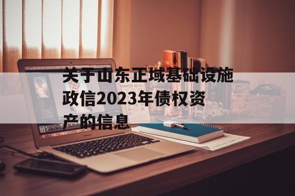 关于山东正域基础设施政信2023年债权资产的信息