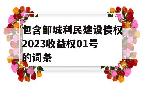 包含邹城利民建设债权2023收益权01号的词条