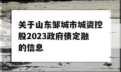 关于山东邹城市城资控股2023政府债定融的信息