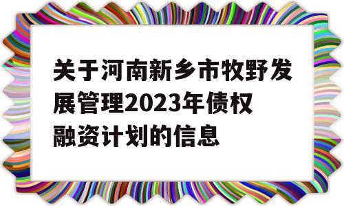 关于河南新乡市牧野发展管理2023年债权融资计划的信息