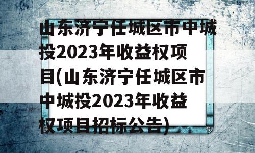 山东济宁任城区市中城投2023年收益权项目(山东济宁任城区市中城投2023年收益权项目招标公告)