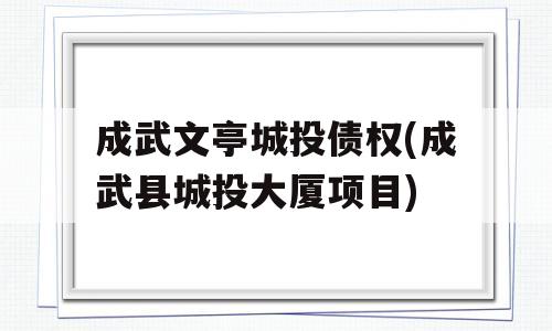 成武文亭城投债权(成武县城投大厦项目)