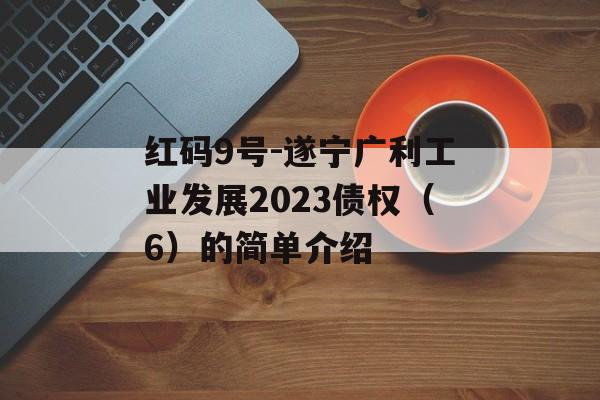 红码9号-遂宁广利工业发展2023债权（6）的简单介绍