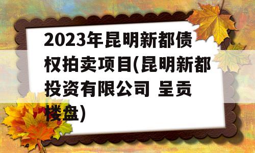 2023年昆明新都债权拍卖项目(昆明新都投资有限公司 呈贡 楼盘)