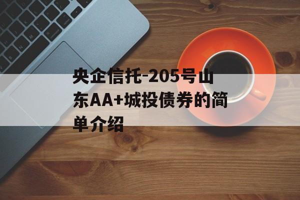 央企信托-205号山东AA+城投债券的简单介绍