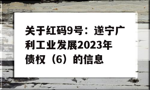 关于红码9号：遂宁广利工业发展2023年债权（6）的信息