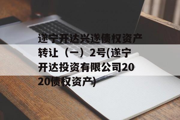 遂宁开达兴遂债权资产转让（一）2号(遂宁开达投资有限公司2020债权资产)