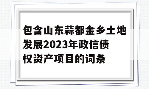 包含山东蒜都金乡土地发展2023年政信债权资产项目的词条