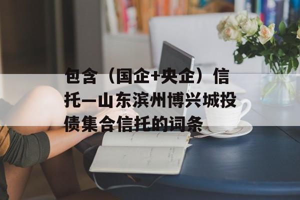 包含（国企+央企）信托—山东滨州博兴城投债集合信托的词条