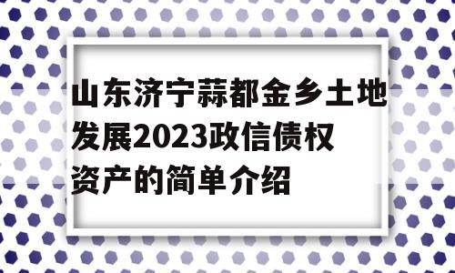 山东济宁蒜都金乡土地发展2023政信债权资产的简单介绍