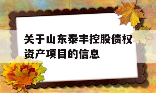 关于山东泰丰控股债权资产项目的信息