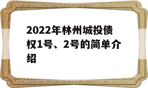 2022年林州城投债权1号、2号的简单介绍