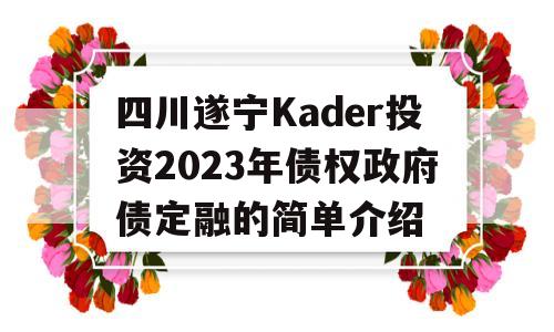 四川遂宁Kader投资2023年债权政府债定融的简单介绍