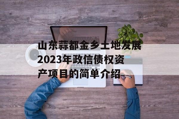 山东蒜都金乡土地发展2023年政信债权资产项目的简单介绍