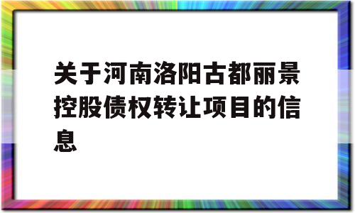 关于河南洛阳古都丽景控股债权转让项目的信息