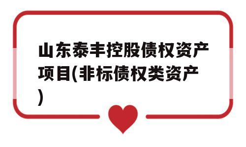 山东泰丰控股债权资产项目(非标债权类资产)