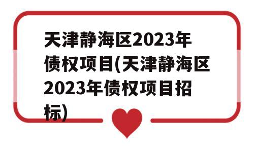 天津静海区2023年债权项目(天津静海区2023年债权项目招标)