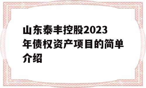 山东泰丰控股2023年债权资产项目的简单介绍