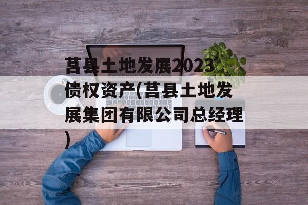 莒县土地发展2023债权资产(莒县土地发展集团有限公司总经理)