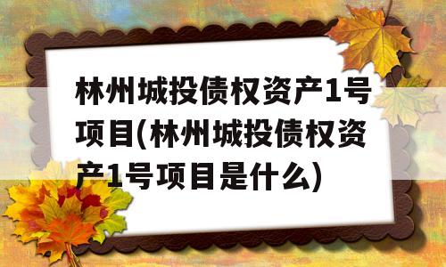 林州城投债权资产1号项目(林州城投债权资产1号项目是什么)