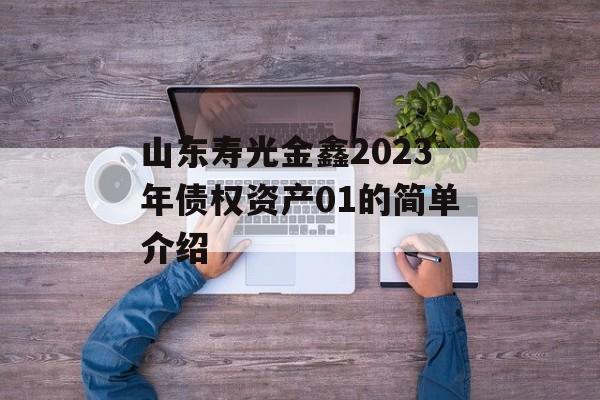 山东寿光金鑫2023年债权资产01的简单介绍