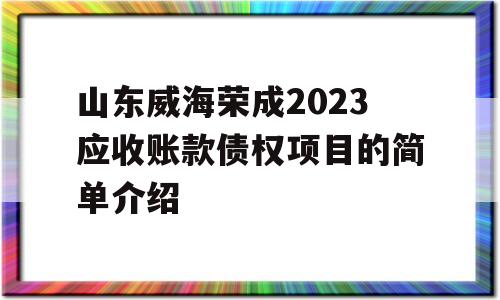 山东威海荣成2023应收账款债权项目的简单介绍