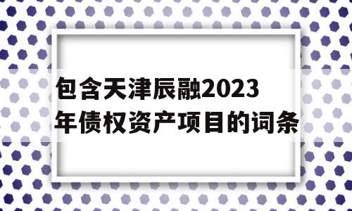 包含天津辰融2023年债权资产项目的词条