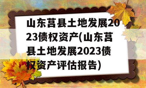 山东莒县土地发展2023债权资产(山东莒县土地发展2023债权资产评估报告)