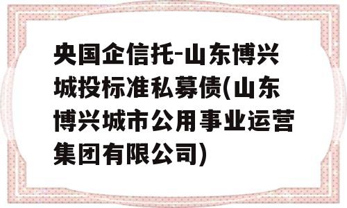 央国企信托-山东博兴城投标准私募债(山东博兴城市公用事业运营集团有限公司)